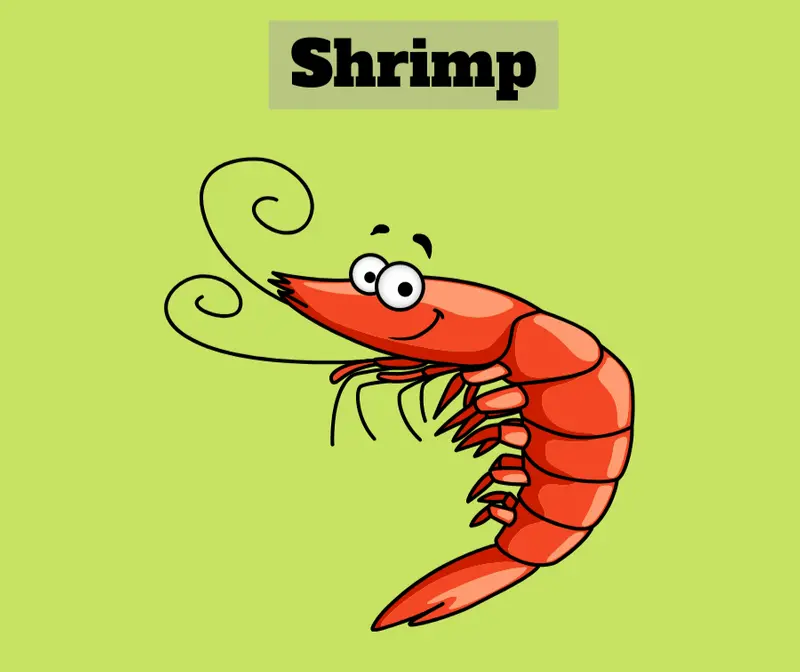 Shrimp Coloring Drawing Book For Kids